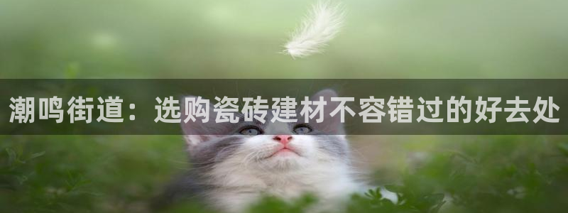 杏鑫平台注册登录