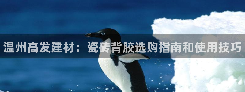 杏鑫平台线路测速