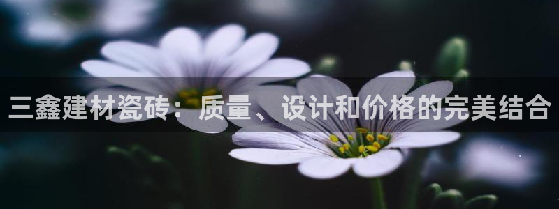 杏鑫平台官方网站