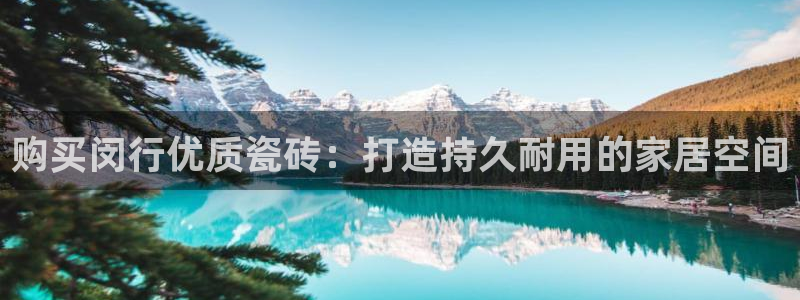 杏鑫平台代理怎么样啊