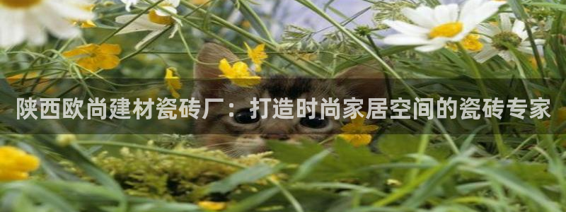 杏鑫平台靠谱吗