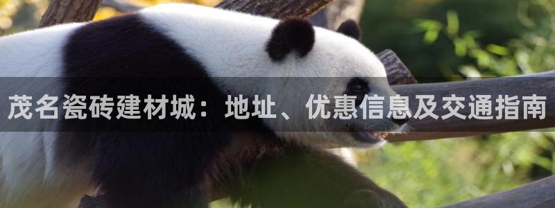 杏鑫官网注册账号是什么意思