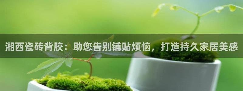 杏鑫娱乐官方网站客户端登录