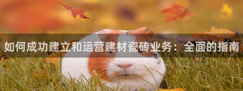 杏鑫注册平台官方网站是什么