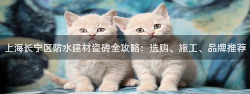 杏鑫娱乐是真的吗还是假的
