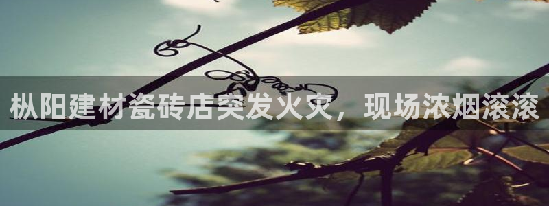 杏鑫平台在线注册怎么注册