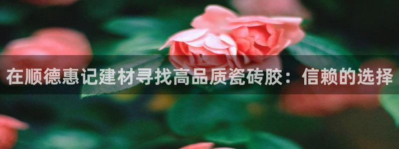 杏鑫平台代理注册多少钱啊
