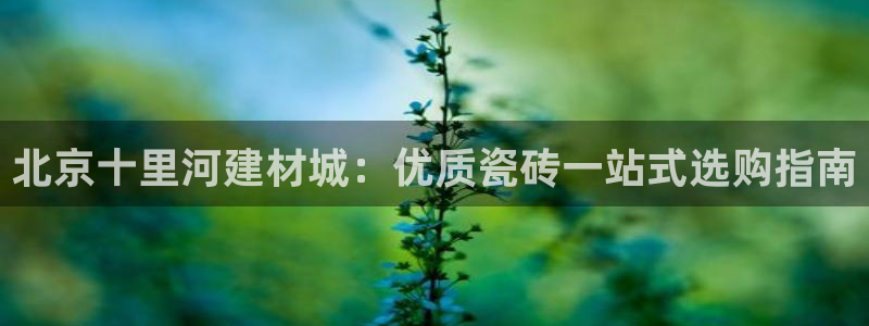 杏鑫平台野马联盟