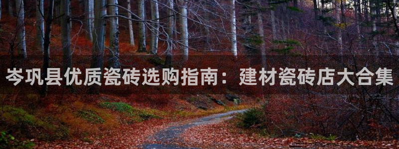 杏鑫平台注册网址是多少