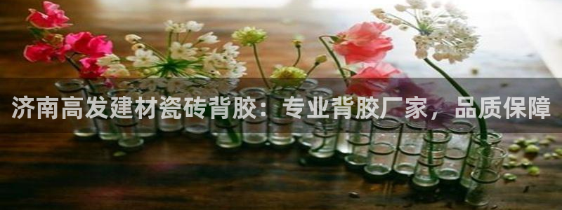 杏鑫平台平台娱乐