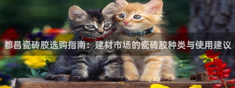 杏鑫官网注册账号怎么注册的