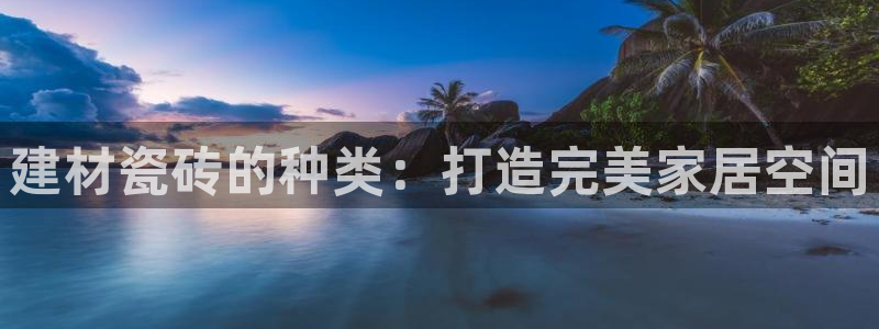 杏鑫3主管