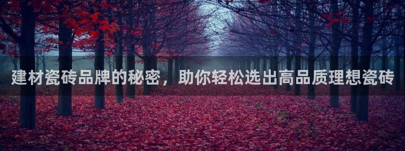杏鑫平台怎么样知乎