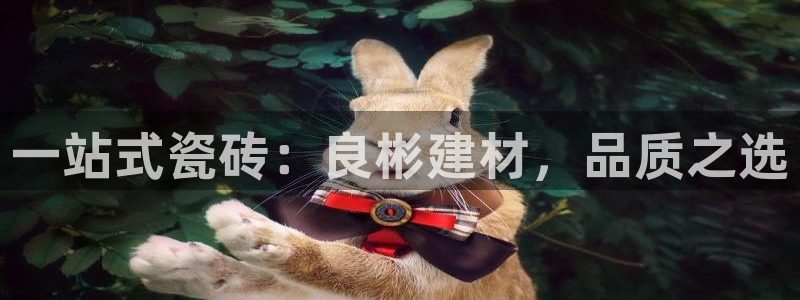 杏鑫平台是黑平台吗是真的吗