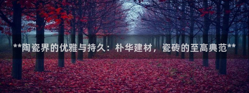 杏鑫平台代理注册流程及费用