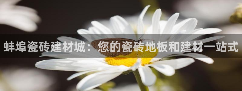 杏鑫平台是黑平台吗