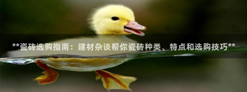 杏鑫平台怎么样知乎