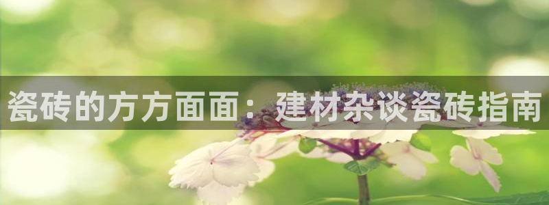 杏鑫登录注册测速