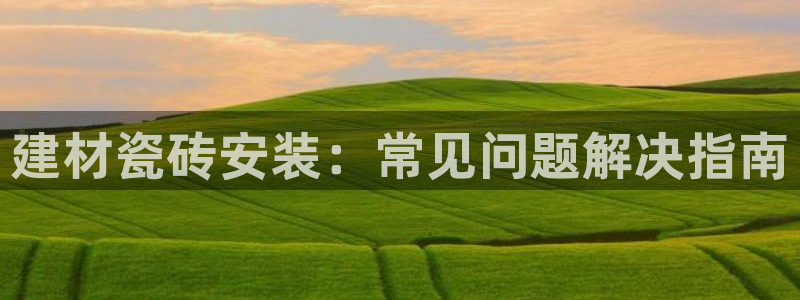 杏鑫有亏损返点吗