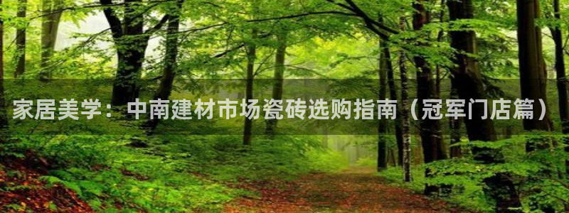 杏鑫平台代理注册流程