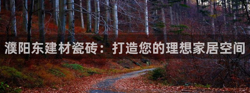 杏鑫平台注册网址是什么