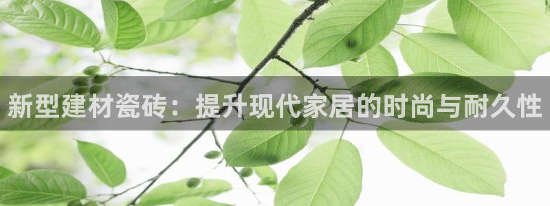 杏鑫娱乐开发团队