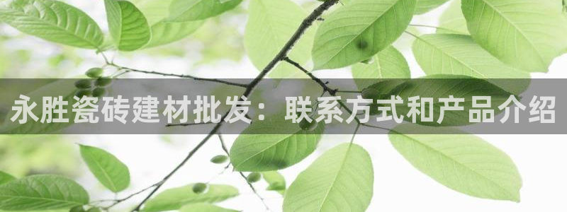 杏鑫娱乐官方网站客户端下载安装