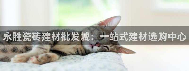 杏鑫平台代理怎么样可靠吗