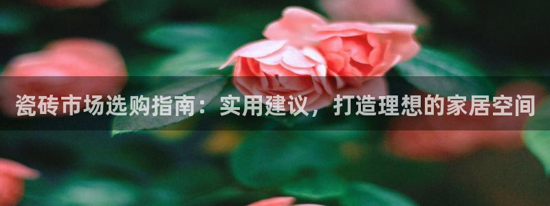 杏鑫平台广7O777