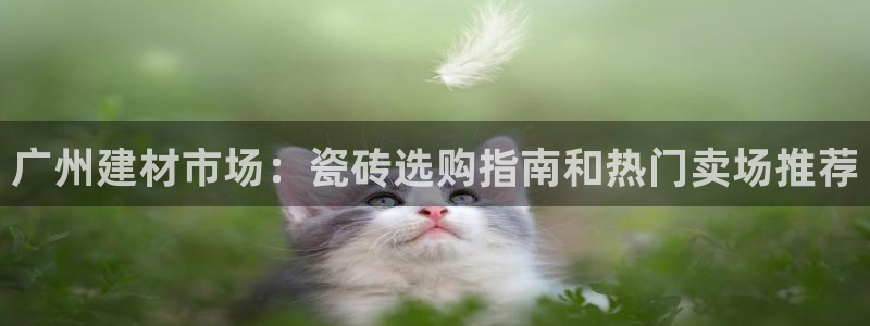 杏鑫官方平台怎么样啊