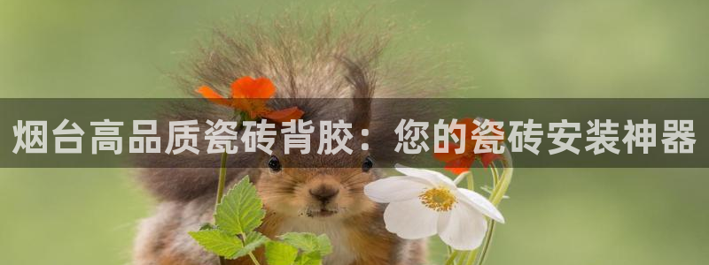杏鑫娱乐怎么下