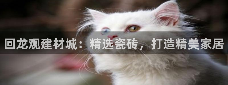 杏鑫平台直属
