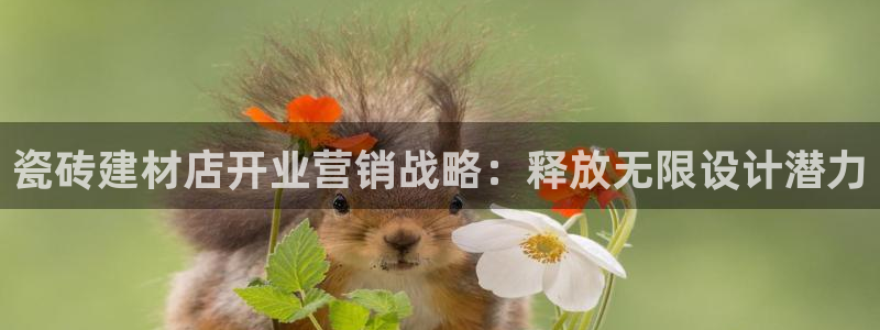 杏鑫官方平台怎么样啊