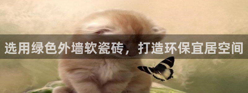 杏鑫平台注册入口