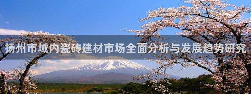 杏鑫平台代理怎么做