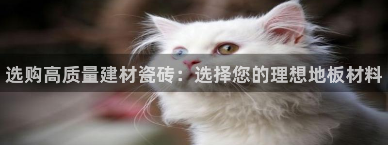 杏鑫平台招商怎么样
