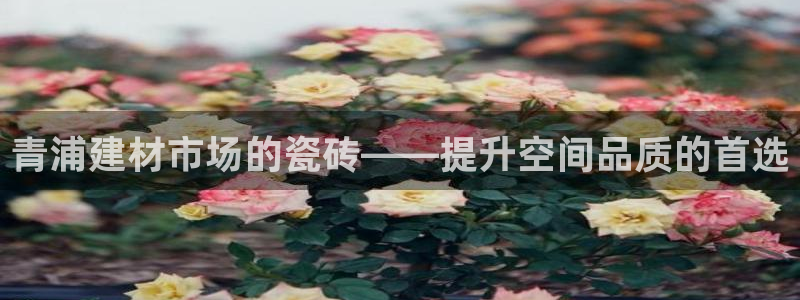 杏鑫平台怎么样