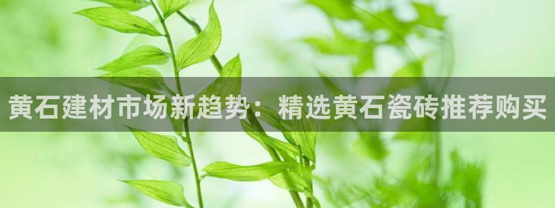 杏鑫手机客户端