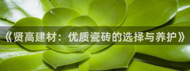 杏鑫官网注册账号怎么注册的