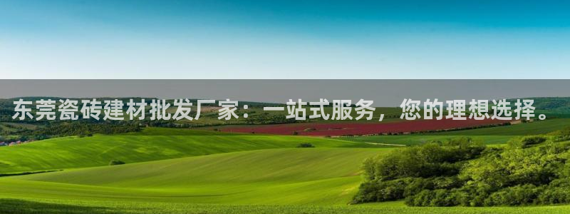 杏鑫代理注册资金多少