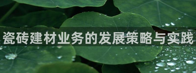 杏鑫娱乐平台测速怎么样