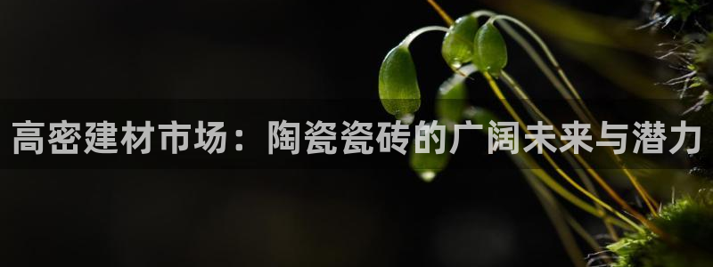 杏鑫官网
