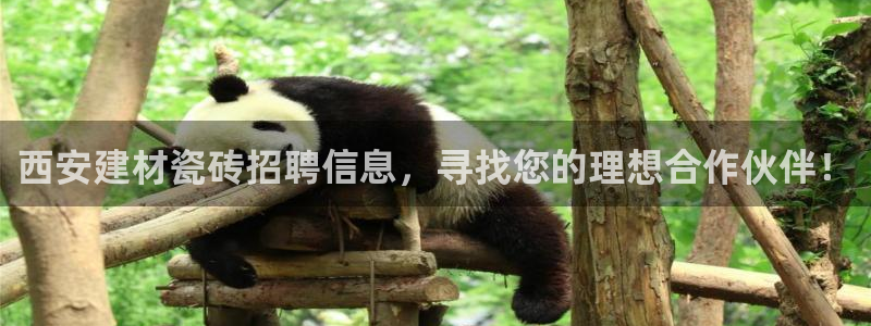 杏鑫平台野马联盟
