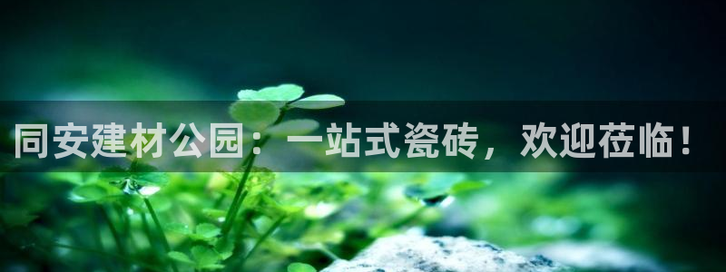 杏鑫娱乐-官方网站