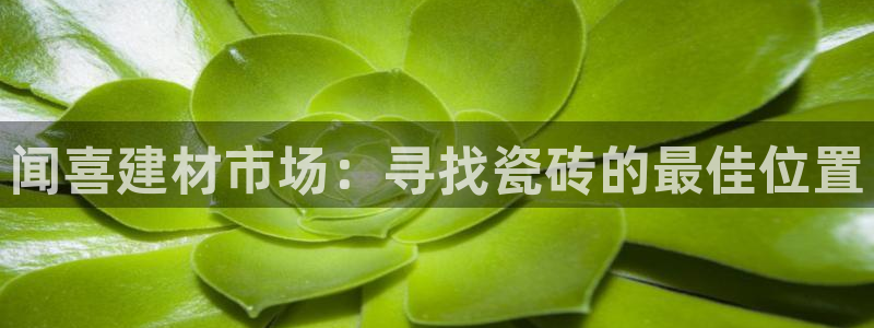 杏鑫娱乐官网