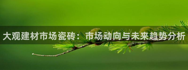 杏鑫平台代理怎么做的