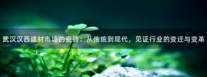 杏鑫平台招商怎么样可靠吗