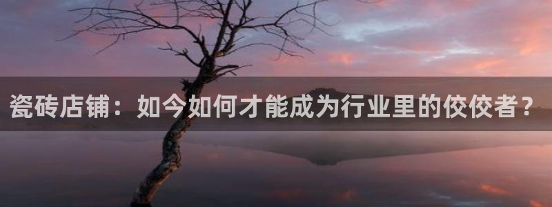 杏鑫娱乐开发团队