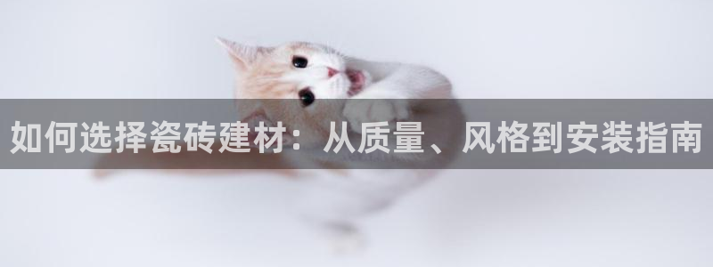 杏鑫娱乐是合法的吗?