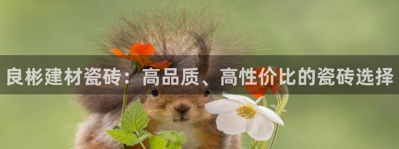 杏鑫平台招商电话